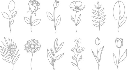 Gray Line Art Collection Botanical Rose, Poppy, Daisy and Other Floral Designs