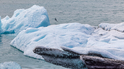 Gletscherlagune in Island / schöne  Blauen Eisbergen in Island