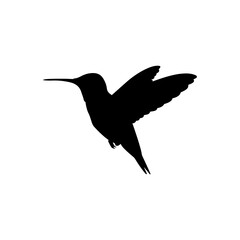 Ruby throated hummingbird silhouette vector flat illustration design.