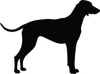 Silhouette of a standing dog, isolated on white background, perfect for pet illustrations, design elements, dog breed graphics, and more