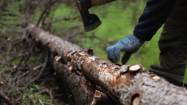 A person skillfully chops wood using an axe in a peaceful forest. Green trees surround the area, and the sun casts soft light on the scene, creating a tranquil atmosphere.