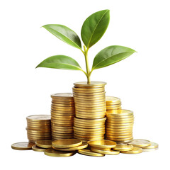 Plant growing from stacks of gold coins on transparent background