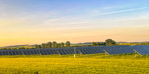 Solar panels on a large green field during sunset. Renewable energy farm with photovoltaic cells in rural landscape. Eco-friendly power source in countryside.