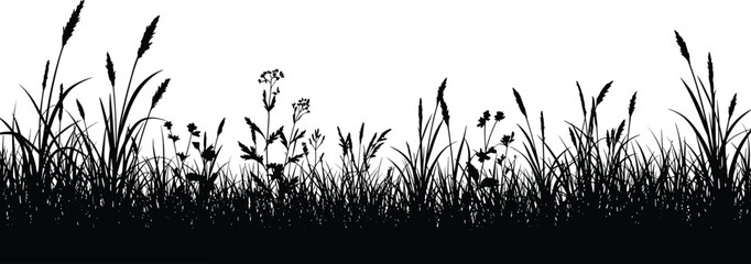 Silhouette of wild grass and flowers in nature field, meadow foliage vector border, black botanical landscape isolated on white background