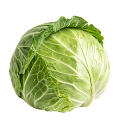 cabbage isolated on white background
