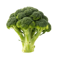 broccoli isolated on white background