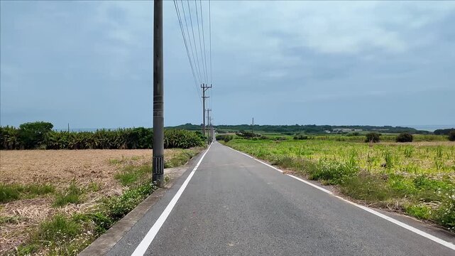 両側にサトウキビ畑が広がる小浜島のシュガーロード