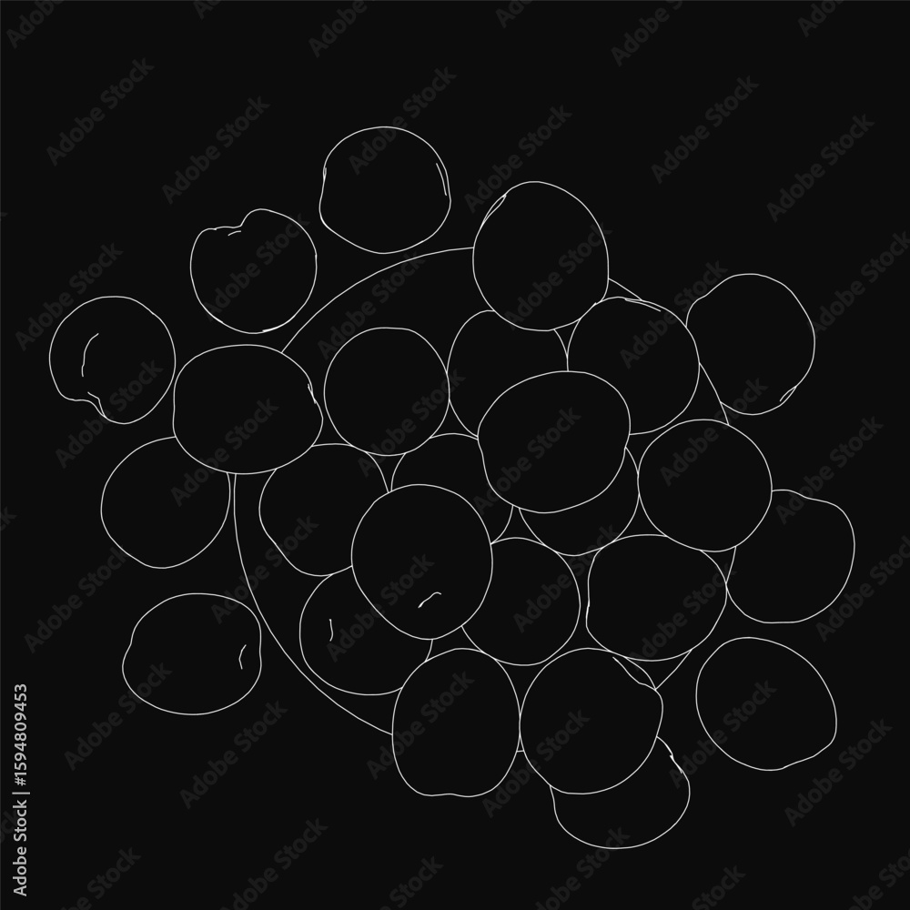 Poster a black and white contour drawing of clustered grapes stands out against a dark background. the over
