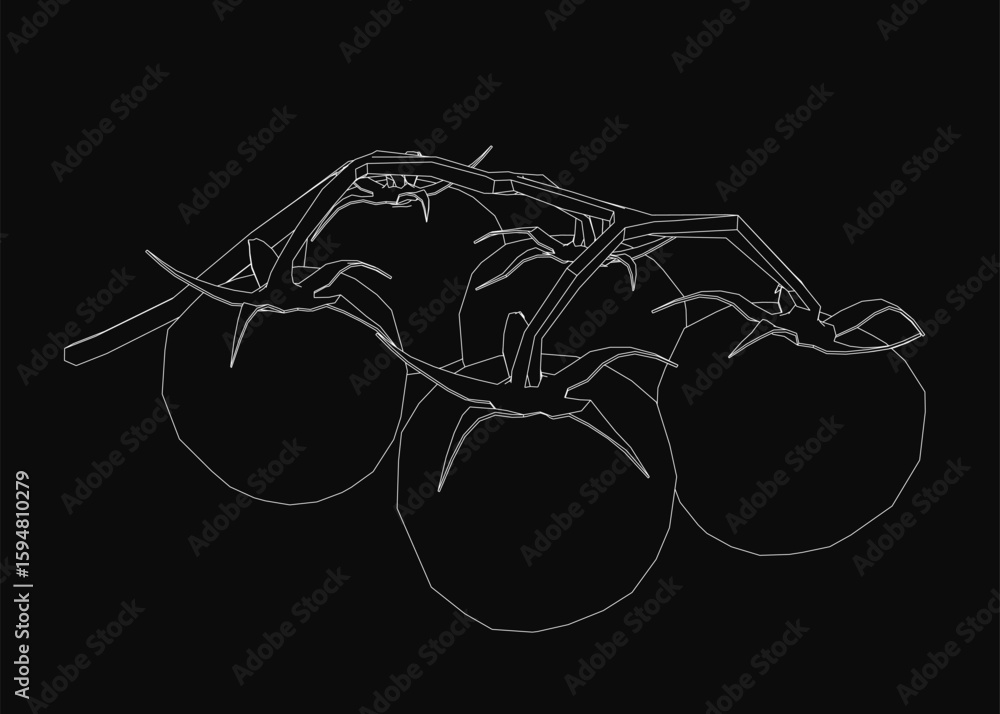 Poster three tomatoes drawn in clean black and white line art style stand out against a dark background. ea