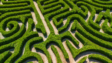 Aerial Top View of Geometrical Green Maze Labyrinth Garden
