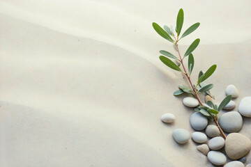 Natural Harmony: Sage Twig and Pebble Rocks on Sand - Serene Botanical Background