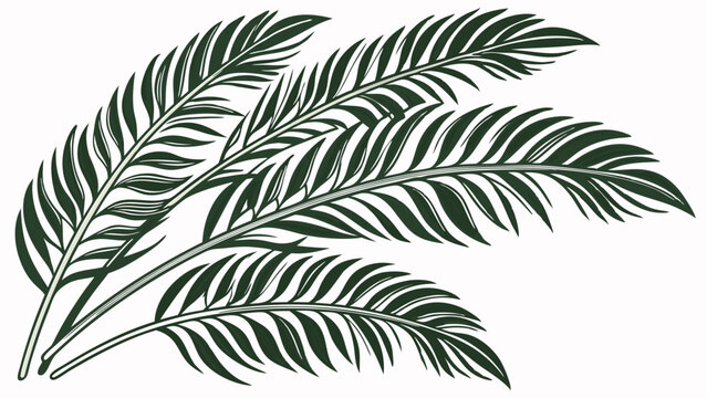 Elegant dark green palm leaves vector illustration, four stylized tropical fronds fanned out, natural botanical graphic design element for any use