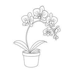 Orchid flower in the pot.Hand drawn orchid flower set, branch, bud, flower, leaves, Orchid set for invitations, designs, cards doodle style.vector illustration background.
