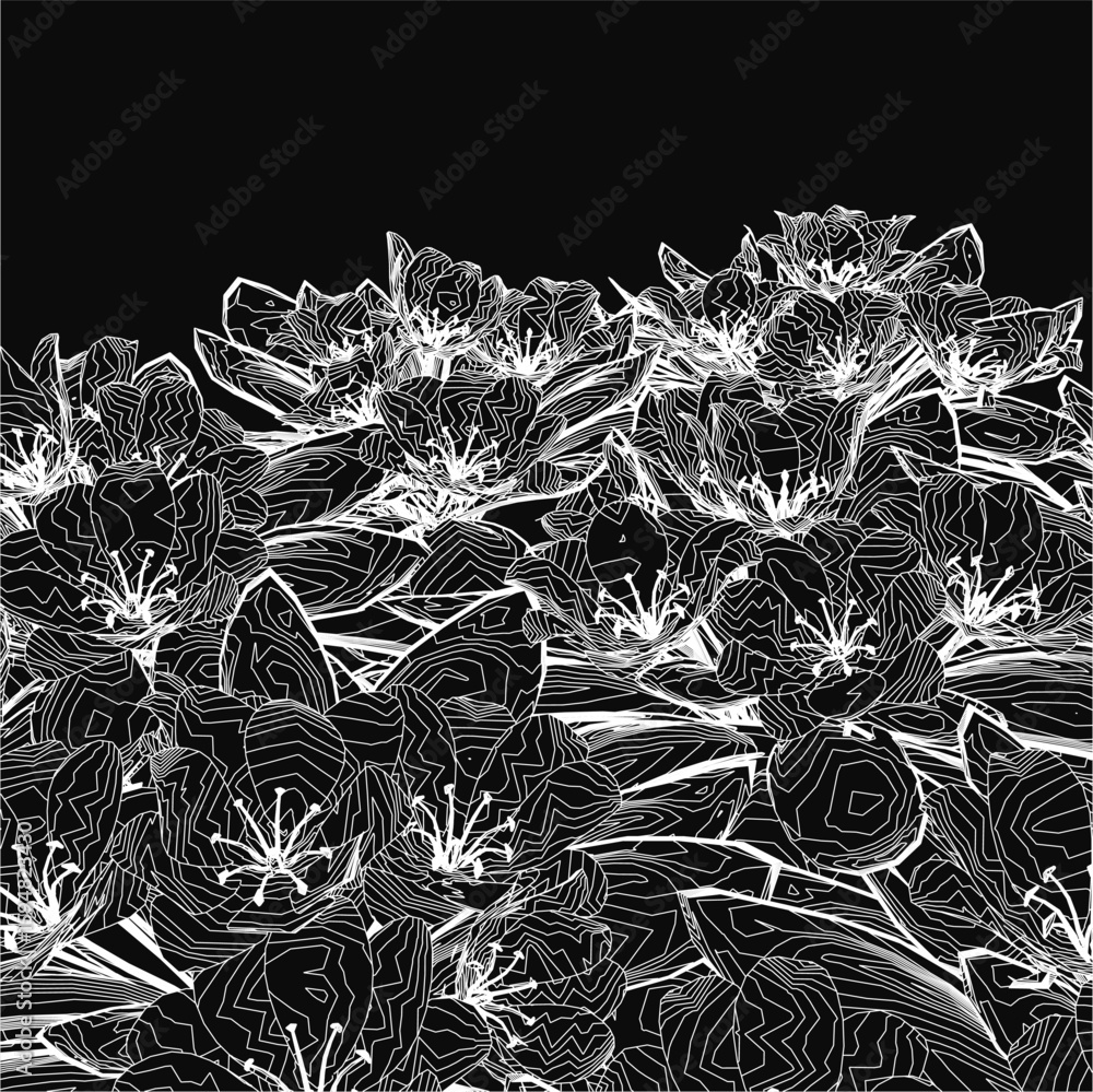 Poster a black and white floral set with delicate petals and deep leaves arranged in an intricate pattern. 