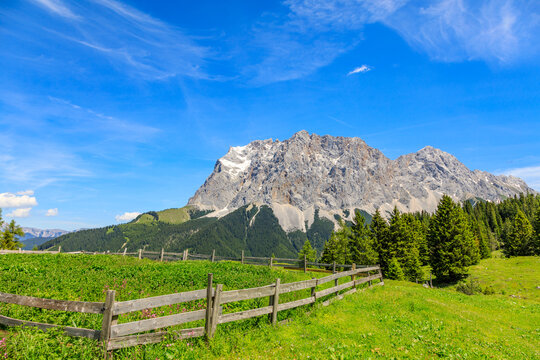 Auf dem Weg zur Alm