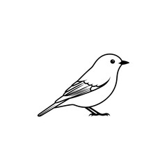 A small bird is isolated on white background