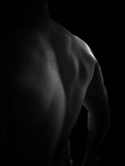 muscular male back