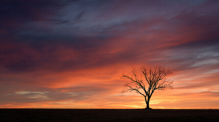 Single bare tree silhouetted against dramatic colorful sunset sky with vibrant clouds