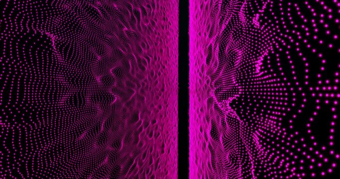 Traveling through a pink fractal field. Loop