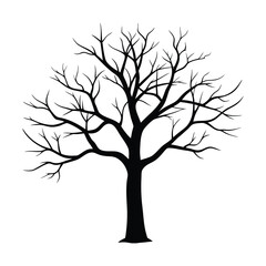 Silhouette of a bare tree with intricate branches against a white background