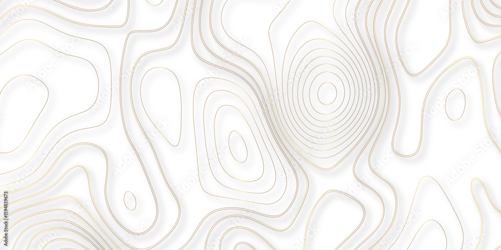 Poster 3055abstract white golden gradient topographic line map pattern background. contour elevation topogr