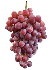 Fresh Grape Bunch on White Background
The image highlights the natural texture, color, and freshness of the fruit, ideal for use in food advertising, packaging, or healthy lifestyle content.