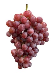 Fresh Grape Bunch on White Background
The image highlights the natural texture, color, and freshness of the fruit, ideal for use in food advertising, packaging, or healthy lifestyle content.