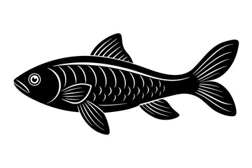 Detailed carp fish black and white silhouette vector illustration