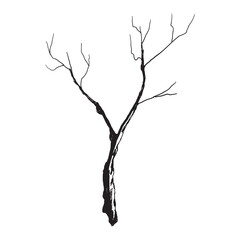 Hand Drawn Bare Tree Branch in Vintage Engraving Style.
