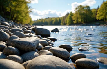 Smooth river stones along the shoreline with a scenic view of trees and blue sky in the background