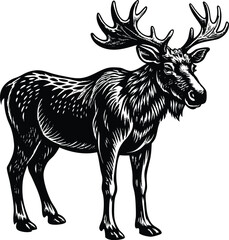 Detailed Deer Illustration with CMYK Colors and Helvetica Font Elements