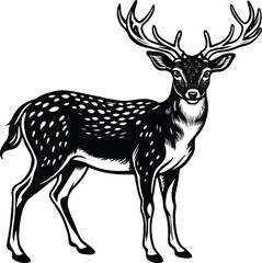 Elegant Fallow Deer Vector Illustration for Wildlife Nature and Hunting Designs
