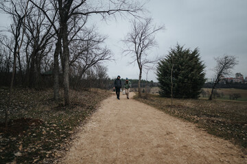 Two individuals enjoy a leisure walk through a forested area, appreciating nature and conversation....