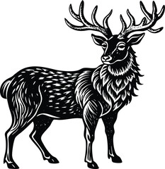 Detailed Vector Illustration of a Kashmir Stag with Antlers in Natural Habitat