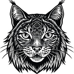 Detailed Iberian Lynx Illustration in CMYK with Helvetica and Courier Fonts for Design