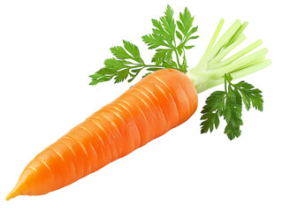 Orange carrot with green leafy tops isolated on a transparent background