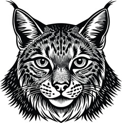 Iberian Lynx Vector Illustration with CMYK Colors for Graphic Design Projects