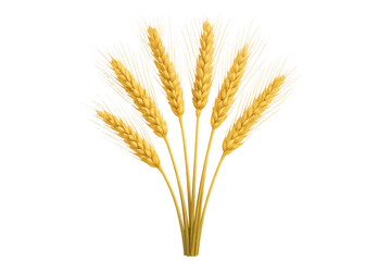 Wheat ears arranged in curved semicircle pattern, representing agricultural abundance against transparent background, suitable for design projects
