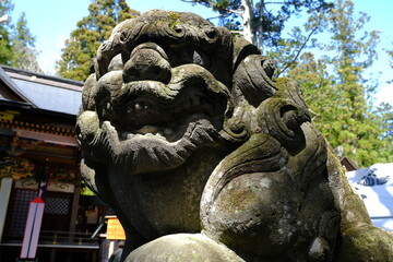 Close Up of Mossy Komainu Guardian Lion Dog Statue at Japanese Shinto Shrine