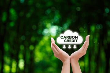 Hands cupping a "CARBON CREDIT" cloud with downward arrows, symbolizing efforts to reduce carbon emissions and promote environmental sustainability.