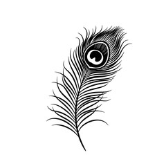 Illustration of a black and white peacock feather silhouette