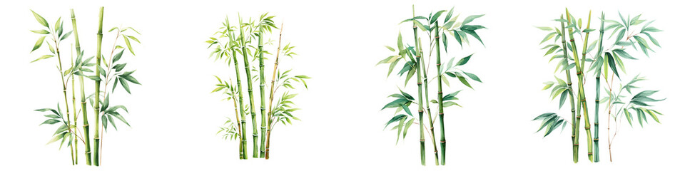 Obraz premium Set of Bamboo Stalks Watercolor Painting