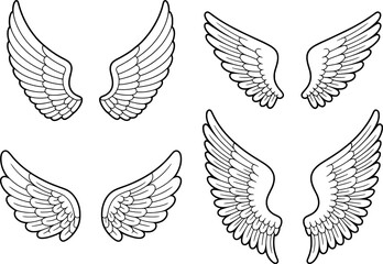 Fototapeta premium Feathered wings pair collection outline