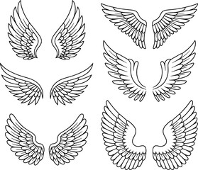 Obraz premium Various stylized wings in black outline on white background angel feather