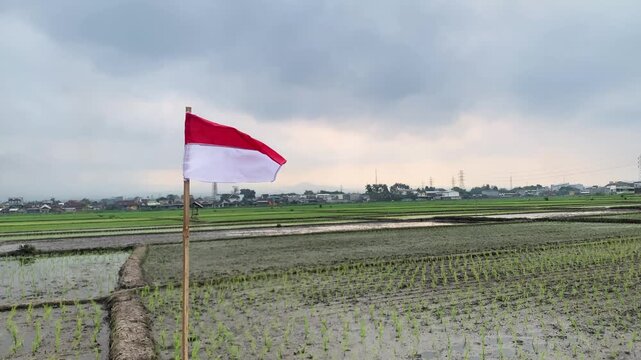 Indonesian red and white flag waving at the field against a blue sky during Indonesia's Independence Day celebration