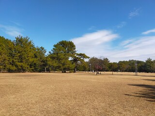 高師緑地