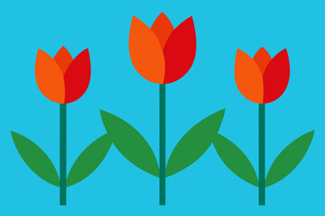 Fototapeta premium Red and yellow tulip flower vector illustration with leaves for spring floral design