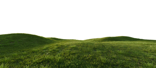 Hills with grass on a transparent background. 3D rendering.	

