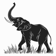 Majestic elephant with raised trunk isolated on white background