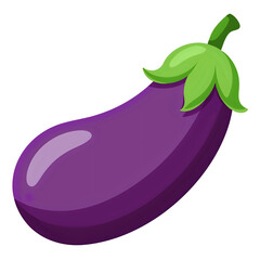 eggplant ,vector illustration white background